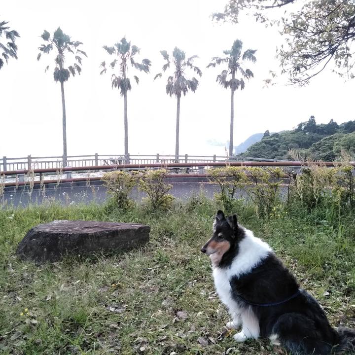 F9c58ae3 9847 463c 8596 6562bb86fcfb 1561645687039