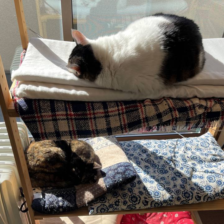 F9c5c27a 5a0b 4835 9683 16df3cfe57d5 1735360492527