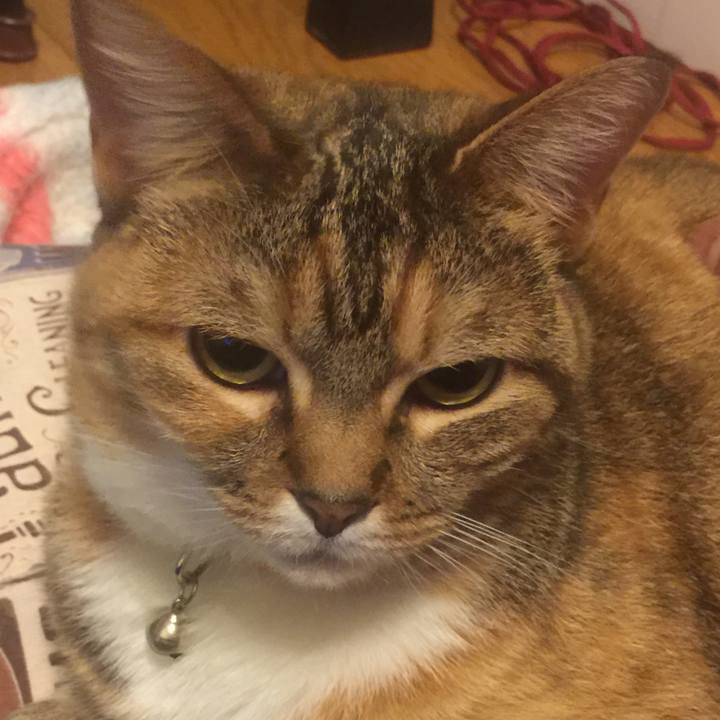 F9c5da73 f1f7 4fe3 8ed4 240098eb80b6 1559662177801