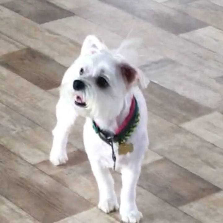 F9c5e3f0 6c39 4f7b b848 f82aa64d3261 1567429533518