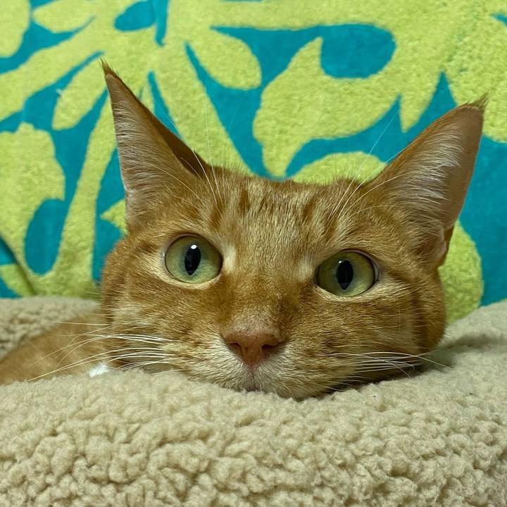 F9c63268 61ab 4033 a0c3 4fdd8e626a60 1685176492661