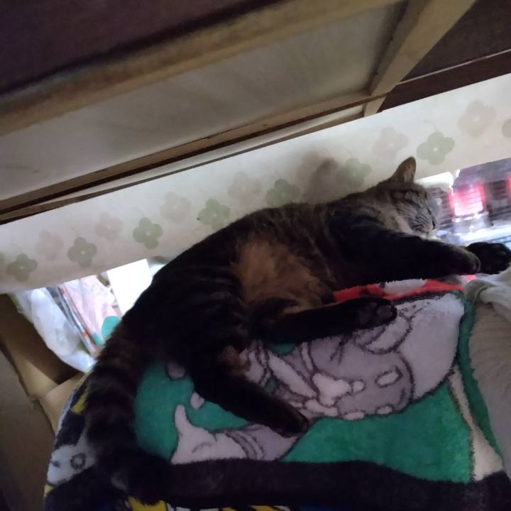 F9c63bc3 42aa 47fc 8666 aad3d40fcfa7 1667776336110