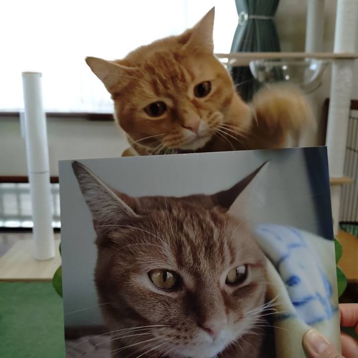 F9c64448 1403 4587 92a4 59a4af86ab1c 1768181324983