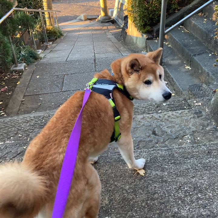 F9c648da 215e 4131 b530 b6a0ad223889 1610956564111