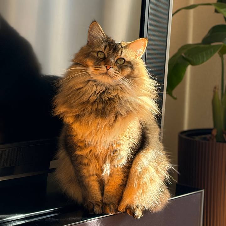 F9c65f99 57b5 453b 952c ce3a1a69a22a 1766883651005