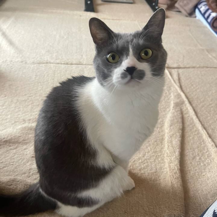 F9c693ce de75 49db ba33 6b9bd318216c 1714952922517