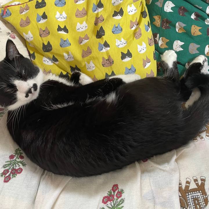 F9c6948e 11df 4cbc 9070 46db3c0d0c88 1654212590607