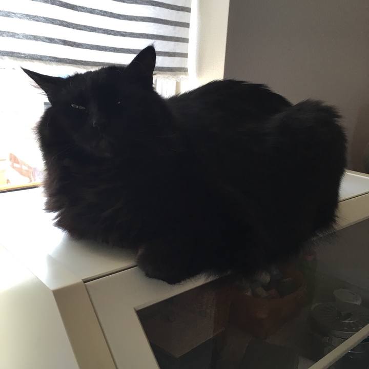 F9c69b9d 1200 45a2 a5f5 354c9460ab42 1557453100826