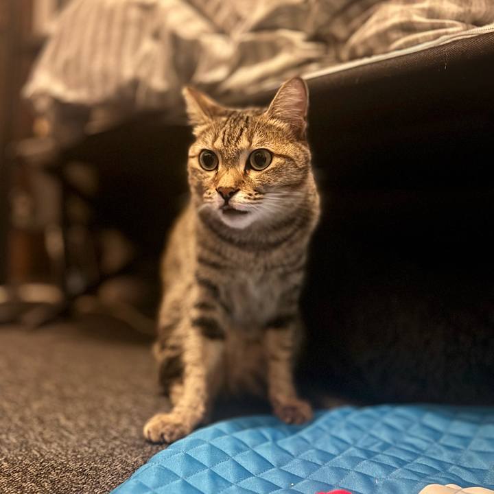 F9c6e085 73e0 42d9 911f 02c7038fe07f 1763384909628