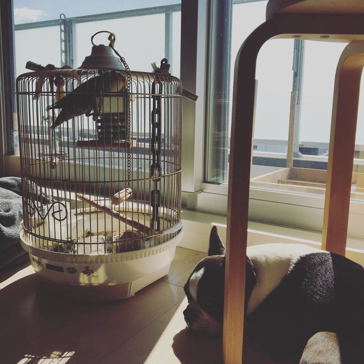 F9c6e742 d7e3 4d75 95c3 7f6eb05feee9 1541062996704