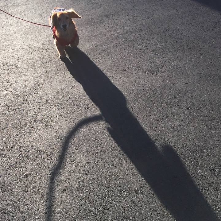 F9c6f246 5f71 4e4a 9a8a d72ebe21bb7b 1610283835825