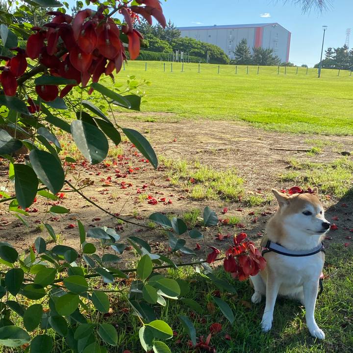 F9c6f7b6 b9d8 4596 8fc4 628f2d6443d7 1656283920719