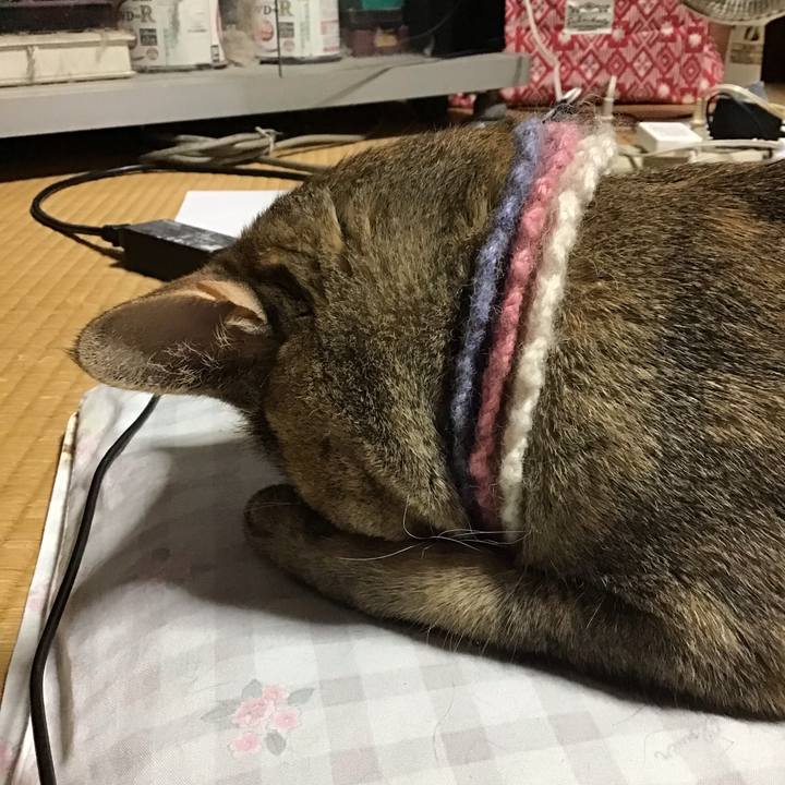 F9c6f86b d9c9 43cf bef5 2ecabaf5dd7a 1625092696828