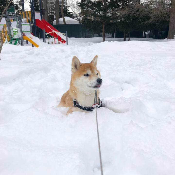 F9c721aa 00e2 4024 a8f9 0bec955fd2ce 1550370674191