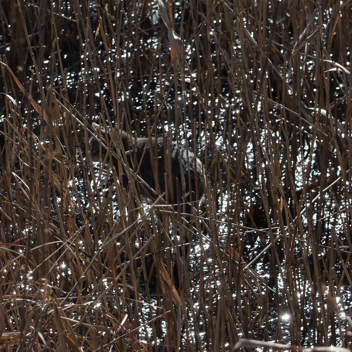 F9c73e0c 26a2 4168 9c88 2da5d510fc0d 1514543065137