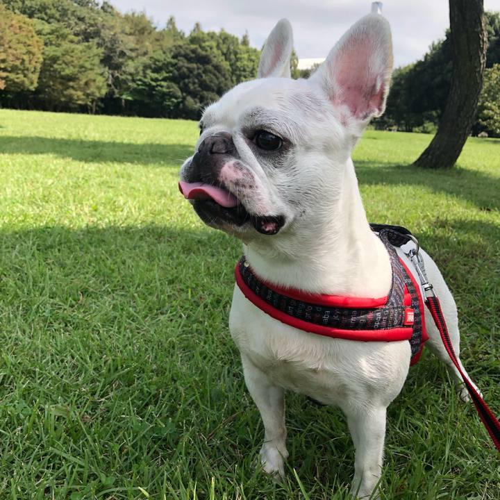 F9c756bf 0ed8 45bc 805d ff4d3abc0563 1537767417882