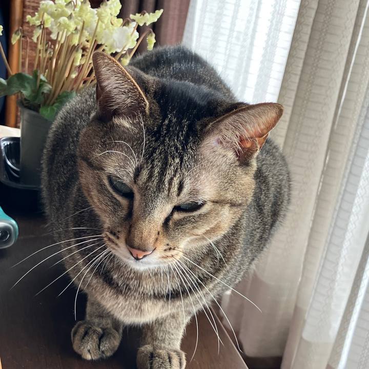 F9c7df45 27d1 4acb 9819 7fd794818a45 1768695471588