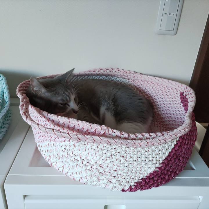 F9c8063d 3dc8 40fb 9c89 6517cde94ced 1695073670353