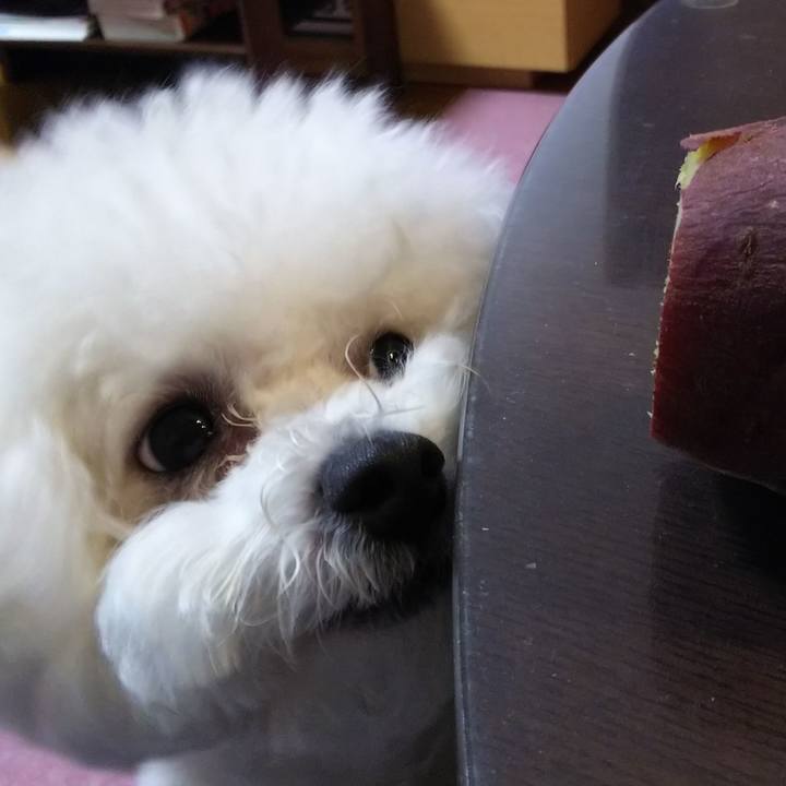 F9c84417 b933 43a8 9022 b09e4b9b89a1 1516193816364