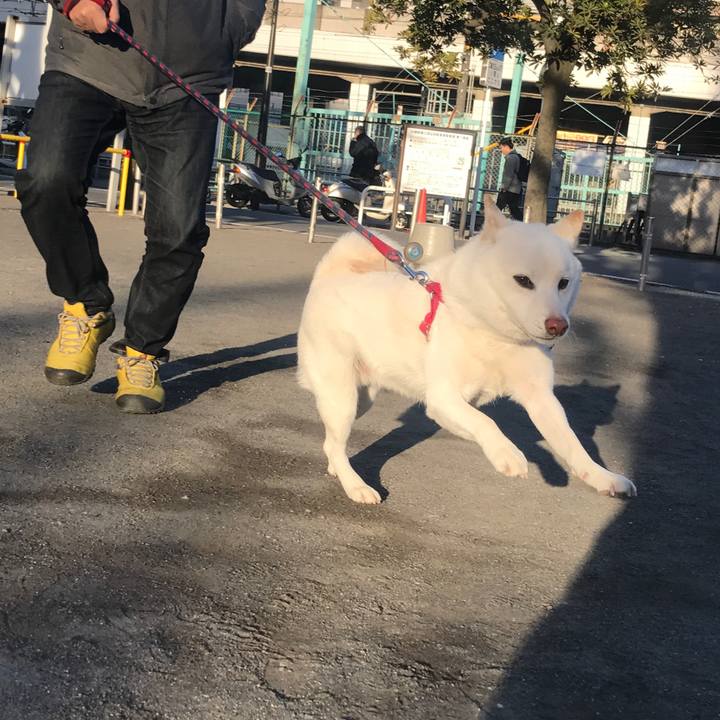 F9c86c4e 6817 4a99 a593 35f698eb0b9f 1515713981358