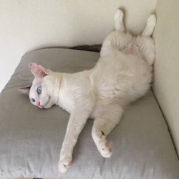 F9c8791d 8eb5 414b abbc 3472209ff556 1531107612870