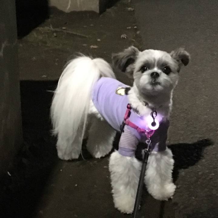 F9c89b8d 7baa 48b6 a6d3 faf94d8802b0 1541584404877