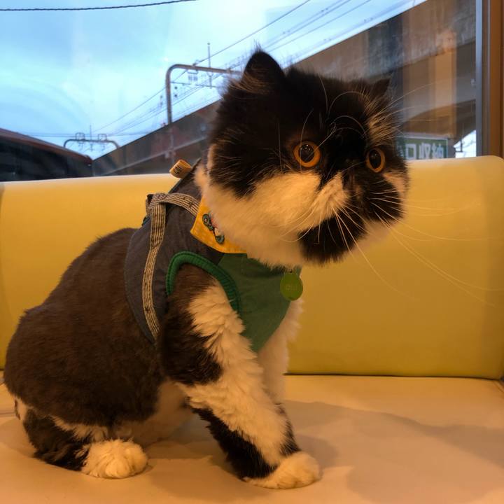 F9c8a592 bb3a 45af 9f27 1487e1881856 1654680683437