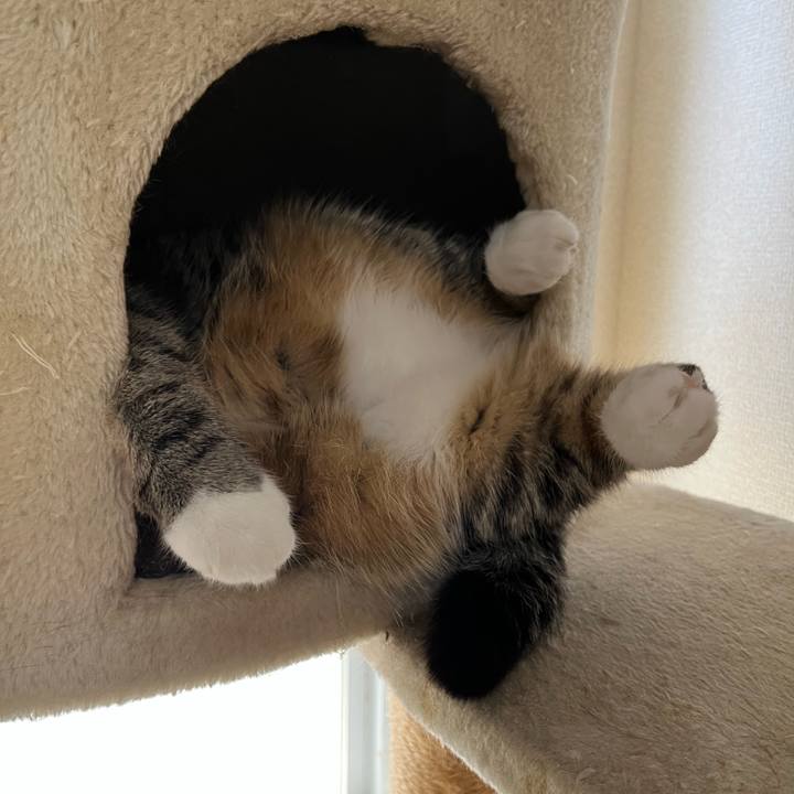 F9c8d27d 3010 4a78 b57e f848a3bf52c2 1691071844726