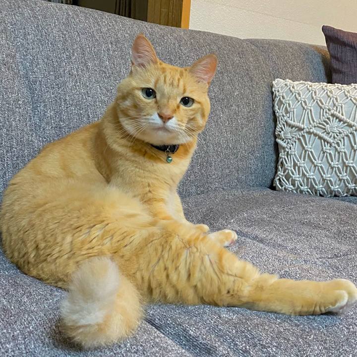 F9c91fb3 a89b 430f 9b11 34e063fbb13f 1658499413573