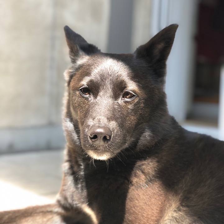 F9c922da 6d6d 43de 87d5 729886f365f9 1560392579154