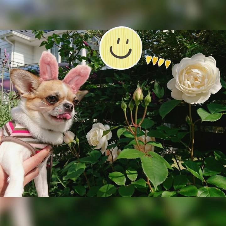 F9c925c4 d12d 498c a4f7 075b2b94e984 1588834616233