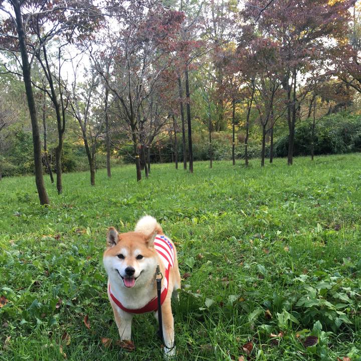 F9c9285d 47ab 455c 89e1 f2868d9c0a93 1573205027785