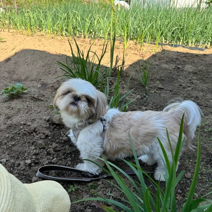 F9c92cee 0780 4c7a bffa f86682052cfc 1714818329768