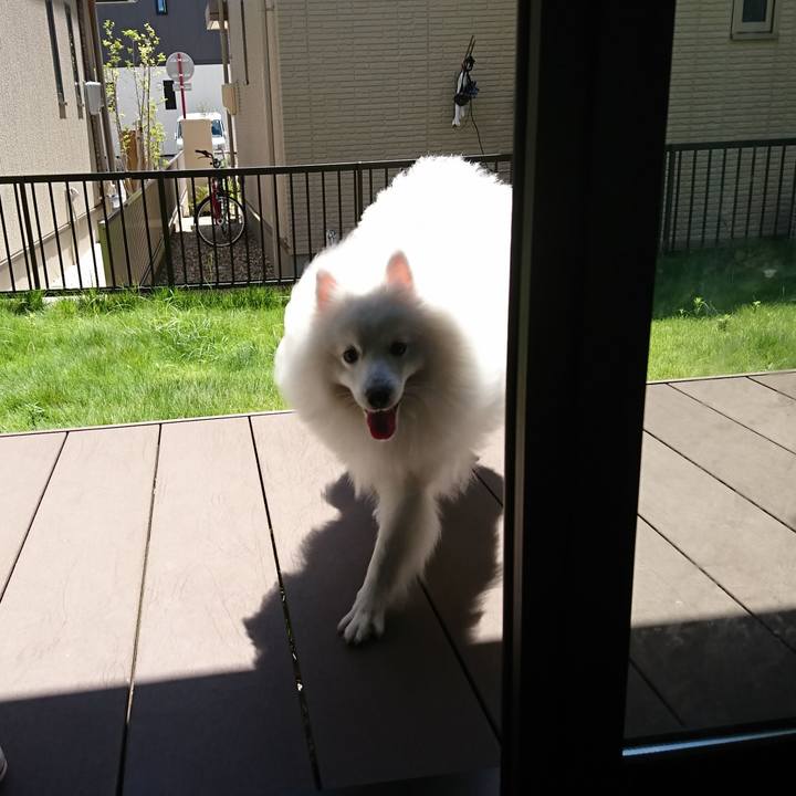 F9c92d8b 0854 4b1e b201 5cc78d130180 1564111872054