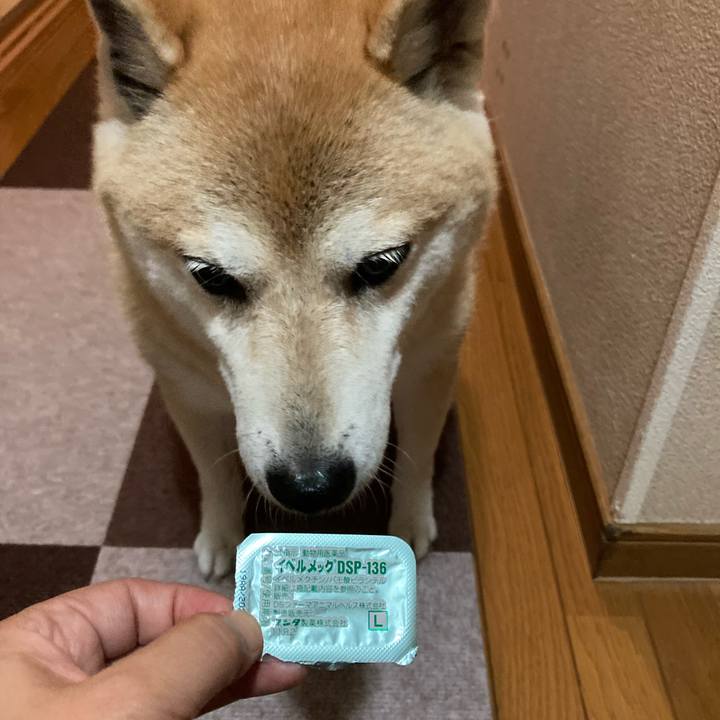 F9c9472d ee9a 4fd6 94e4 387f71c661ac 1633092258982