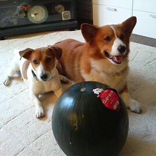 F9c96ab8 74db 4b2c adda 1bb6e2d89af0 1558362532291