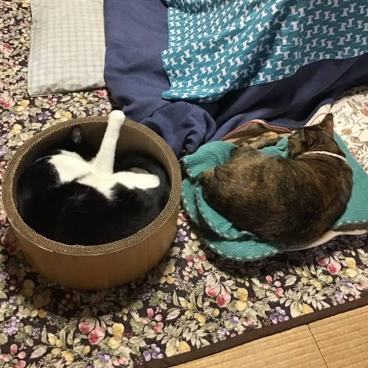 F9c9b8a1 b341 4dd0 a4bc e3348da01bbe 1746510988887