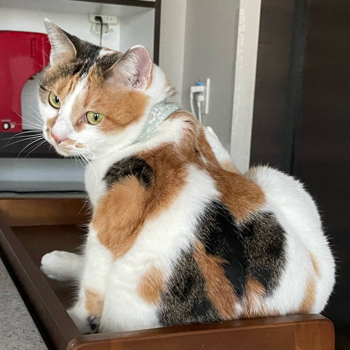 F9c9dc70 2080 468f abc4 9ff4be8b52f7 1671673260247