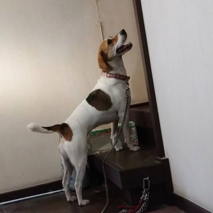 F9c9f672 a7e0 40c7 b5cd 6c9fd653acca 1596725284239