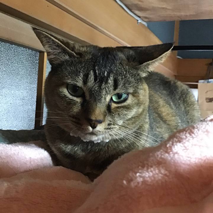 F9ca04f3 ff48 44a0 a8f6 780a5bb8effb 1686480261562