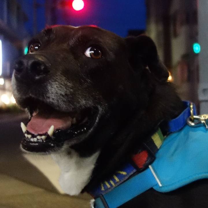 F9ca3872 18c1 4e93 89ff cd73aef40cbe 1685012766378