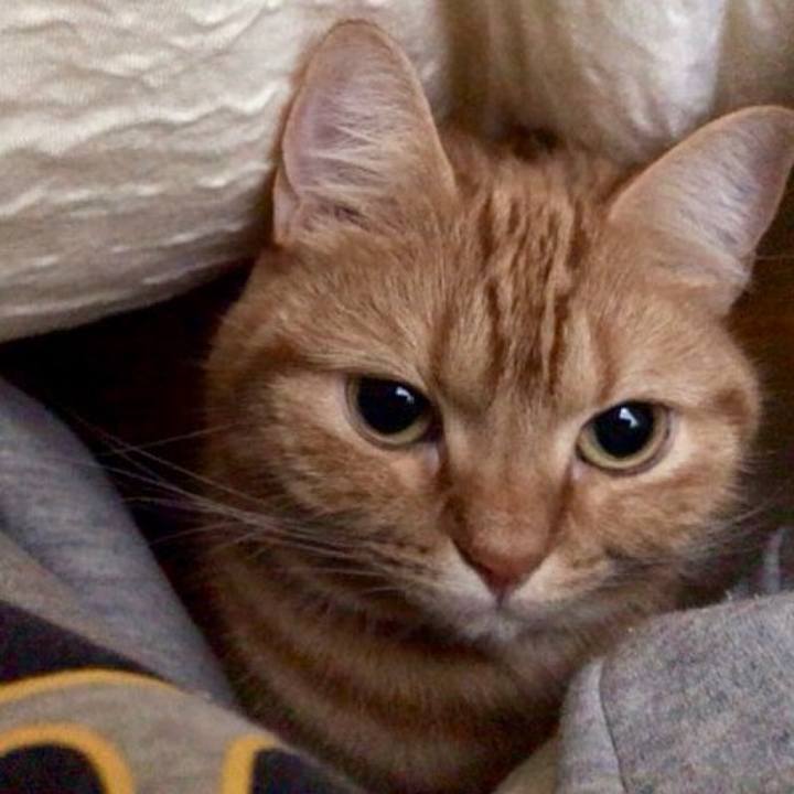 F9ca5298 6e57 4fec 938e 3e6990c8e621 1544830933097