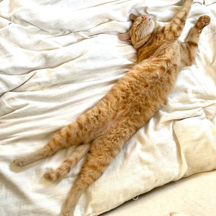 F9ca5948 3eaa 441d 83f6 7b093e200fed 1653798462708