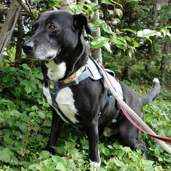 F9ca6215 099c 4847 9c88 1e8c02c6026d 1715128811604