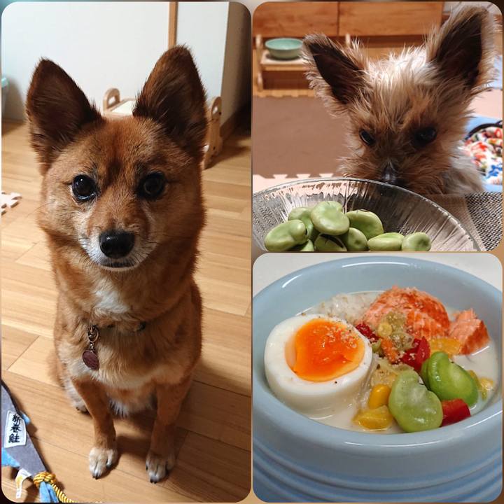 F9ca8dd2 b834 4abd aef7 bb97e4f2af23 1589715640935