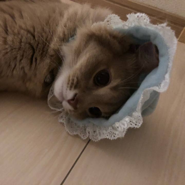 F9cac944 4133 49a1 85bd 4968849e1605 1568170763881