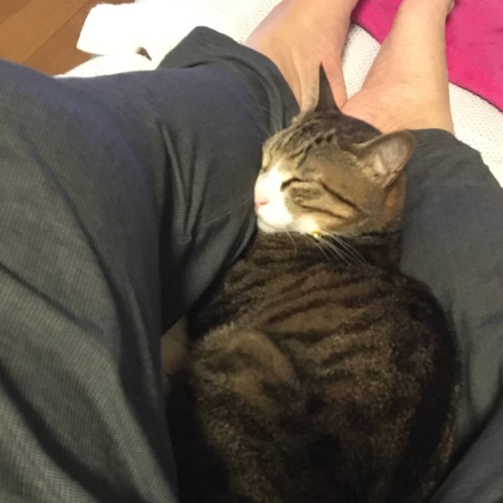 F9cad0b7 967d 45b7 9300 6af1d4b866d3 1679591473248