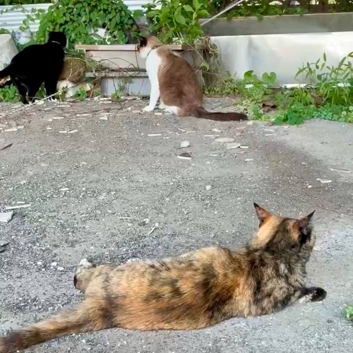 F9cad3d1 c966 43be ad83 beaadb8b917e 1752305060181