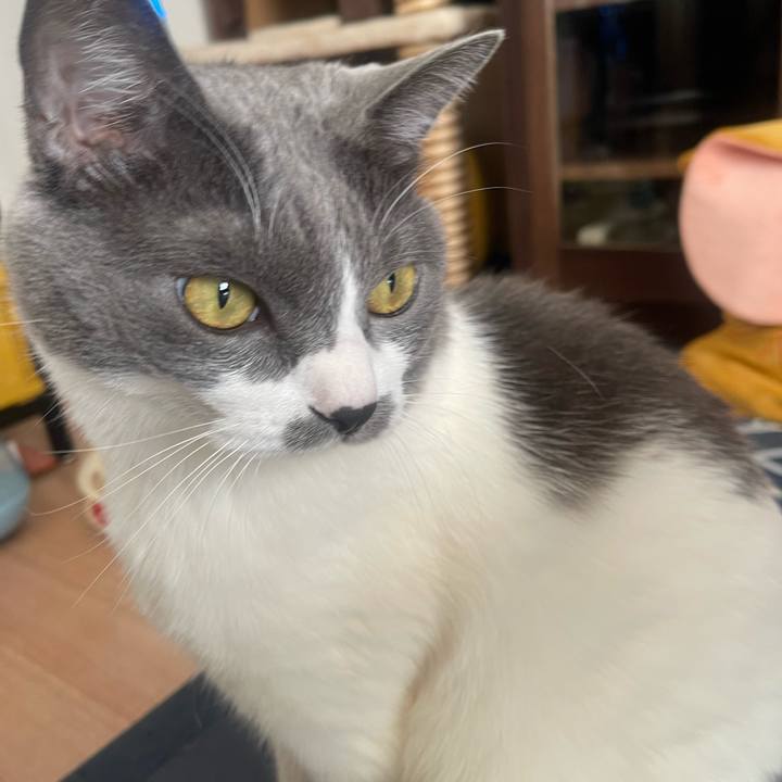 F9cad876 ca15 4afa 848d 8ba7ea4c397e 1732407326410