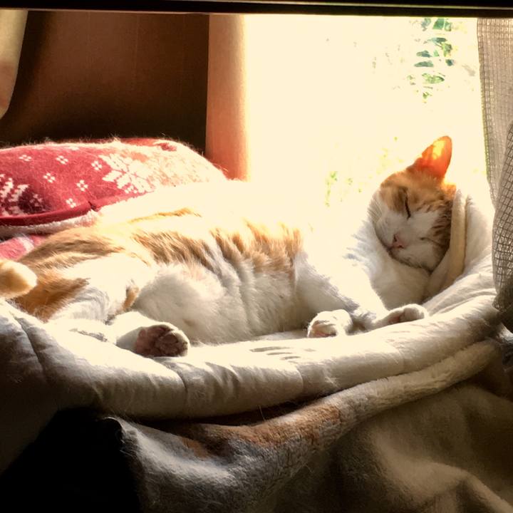 F9cb2f62 44b6 4e7f b227 50b5b84e23c3 1568179307992